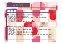 [특수아동상담] 의사소통장애에 관한 연구-8