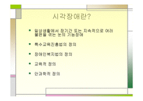[특수아동상담] 시각장애에 관한 연구-3