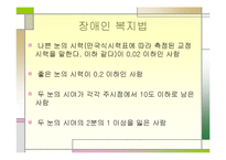 [특수아동상담] 시각장애에 관한 연구-5