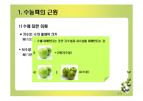 [인지발달] 수능력의 발달-3