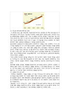 [마케팅원론] 아모레퍼시픽의 경영전략-9