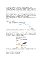 [마케팅원론] 핸드폰시장의 현황 및 마케팅전략-10