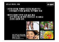[글로벌광고, 성적소구광고] 성적소구(섹스어필)광고-6