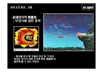 [글로벌광고, 성적소구광고] 성적소구(섹스어필)광고-14