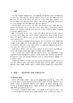 [패션마케팅] 성공 마케팅 사례조사 - 의류브랜드 `SOUP`-3