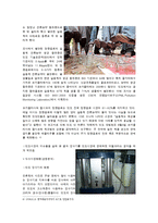 [웅진코웨이의 인도시장 진출, 마케팅 전략, 인도시장, 웅진, 정수기] ★★★ 웅진코웨이의 인도시장 진출 ★★★-6