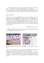 [한국정치경제] TV광고(국가홍보영상)와-4