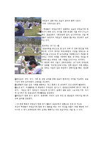 [한국정치경제] TV광고(국가홍보영상)와-8