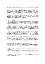 [독후감] 파울로 코엘료의 `오 자히르`에 대한 독후감(A+도서감상문)-3