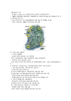 [사회정책] 자전거도로의 현황 및 활성화방안-12