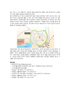[사회정책] 자전거도로의 현황 및 활성화방안-18
