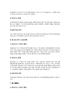[ASP, ASP산업] ASP의 정의, ASP의 구성요소, ASP의 의의, ASP의 장점과 ASP산업의 현황, ASP산업의 문제점 및 일본의 ASP산업 사례로 본 ASP산업의 발전 방향, ASP산업의 전망 분석-9
