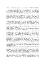 [전자출판, 전자책, E-북] 전자출판(전자책, e-북)의 장점, 전자출판(전자책, e-북)의 현황, 전자출판(전자책, e-북)의 문제점, 전자출판(전자책, e-북)의 전망, 전자출판(전자책, e-북)의 추진 과제 분석-5