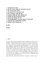 [사회보장, 사회보장제도, 사회공공성] 사회보장(사회보장제도)의 역사, 사회보장(사회보장제도)의 효과, 사회보장(사회보장제도)의 원칙과 사회공공성의 범위, 사회공공성의 강화 방안 분석-2