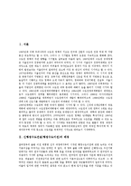 [신행정수도건설] 신행정수도건설(행정수도이전)의 배경과 원인, 신행정수도건설(행정수도이전)의 검토사항, 신행정수도건설(행정수도이전)의 추진 방식, 신행정수도건설(행정수도이전)의 한계와 과제 분석-2
