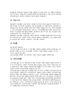 [포토샵, 컴퓨터그래픽, CG] 컴퓨터그래픽(CG) 고찰과 포토샵의 툴박스, 포토샵의 해상도, 포토샵의 이미지 표현 방식, 포토샵의 컬러 모드(Color Mode), 포토샵의 필터, 포토샵의 응용 분석-9