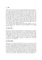 [IPv6][IPv6환경][IPv6 개념][IPv6 필요성][IPv6 장점][IPv6 개발현황][IPv6 기대효과][IPv6 전망][인터넷][네트워크]IPv6의 개념, IPv6의 필요성과 IPv6의 장점, IPv6의 개발현황 및 IPv6의 기대효과, IPv6의 전망-2