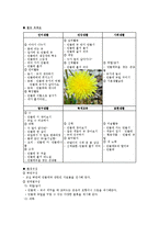 [유아교육] 유아교육에서 프로젝트접근법의 이론과 실제-15