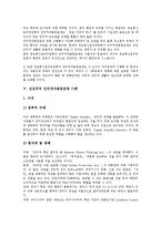 [인터넷내용등급제, 인터넷, 내용등급제] 인터넷내용등급제의 등장배경, 인터넷내용등급제의 유형과 인터넷내용등급제의 문제점 및 선진국의 인터넷내용등급제 사례를 통해 본 인터넷내용등급제의 개선 방안 분석-10
