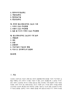 [칼스, 광속상거래, CALS] 칼스(광속상거래, CALS)의 정의, 기원과 칼스(광속상거래, CALS)의 발전단계, 목적, 현황 및 외국의 칼스(광속상거래, CALS) 사례 그리고 칼스(광속상거래, CALS)의 기대 효과 분석-2