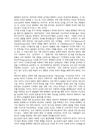 [포스트모던, 포스트모더니즘] 포스트모던(포스트모더니즘)의 정의와 특성, 포스트모던(포스트모더니즘)과 디자인, 포스트모던(포스트모더니즘)과 레저문화, 포스트모던(포스트모더니즘)과 정치경제학, 포스트모던(포스트모더니즘)과 페미니즘 분석-9