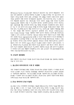 [IPv6] IPv6의 의미, IPv6의 개발배경과 IPv6의 개발연혁, IPv6의 주소체계, IPv6의 연동방법 및 선진국의 IPv6 사례로 본 IPv6의 잠재력 분석-4