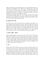 [IPv6] IPv6의 의미, IPv6의 개발배경과 IPv6의 개발연혁, IPv6의 주소체계, IPv6의 연동방법 및 선진국의 IPv6 사례로 본 IPv6의 잠재력 분석-5