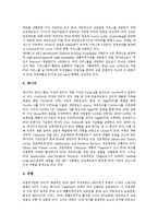 [IPv6] IPv6의 의미, IPv6의 개발배경과 IPv6의 개발연혁, IPv6의 주소체계, IPv6의 연동방법 및 선진국의 IPv6 사례로 본 IPv6의 잠재력 분석-6