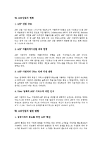 [ASP산업, ASP] ASP의 의미, ASP의 기능, ASP산업의 특징, ASP산업의 유형, ASP산업의 동향, ASP산업의 현황, ASP산업의 발전 방향과 제언 분석-5