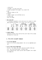 [인도경제] 인도시장의 장점 및 문제점-8