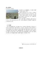 [관광] 이집트 관광 소개-7