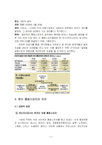 [금융공학] 한미 통화스와프의 비판적 고찰과 개선책-4