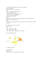 [국제경영전략론] 하이네켄과 하이트 경영전략 비교분석-10