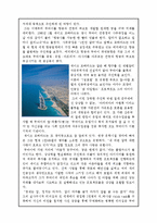 [중동경제론] 두바이-8