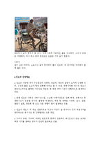 [국제관광론] 인도에서 바라본 한국의 미-11