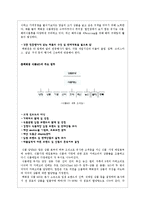 [유통관리] 백화점 소매업태 연구-11