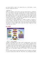 [경영학] `KT 경영` 과 `KTF 경영` 분석-14
