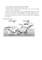 [생산운영] 도요타 생산시스템(JIT 시스템), 간판방식-10