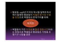 [물리학] 3파장 전구(삼파장 전구)의 원리와 효과-6