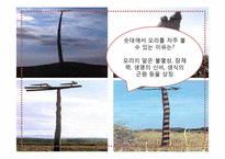 [교육공학] 중학교 2학년 국사 학습지도안-17