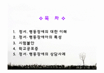 [생활지도] 영역별 상담활동 -정서 및 행동상담-2