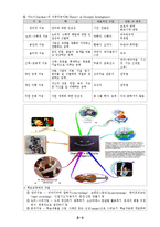 [교육심리학] 지적 특성과 발달-4