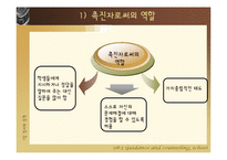 [학교상담] 7장 정서와 성격-19