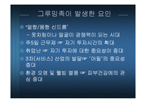 [소비자심리학] 그루밍족과 그에 따른 산업동향-5