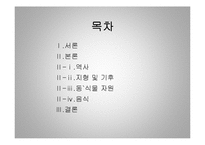 [세계 음식문화] 스위스의 음식문화-2