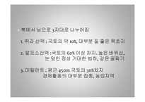 [세계 음식문화] 스위스의 음식문화-8