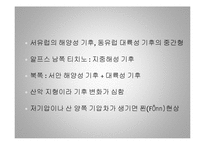 [세계 음식문화] 스위스의 음식문화-11