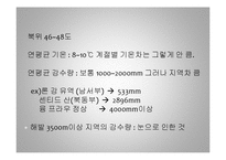[세계 음식문화] 스위스의 음식문화-12