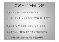 [세계 음식문화] 스위스의 음식문화-13