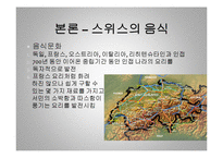 [세계 음식문화] 스위스의 음식문화-14